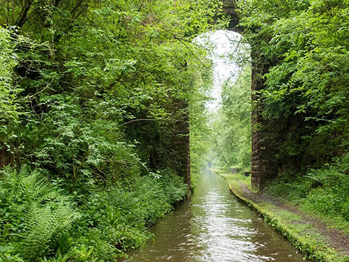Je zal beter worden parfum Onderzoek The Four Counties Ring Canal Route | Swanley Bridge Marina